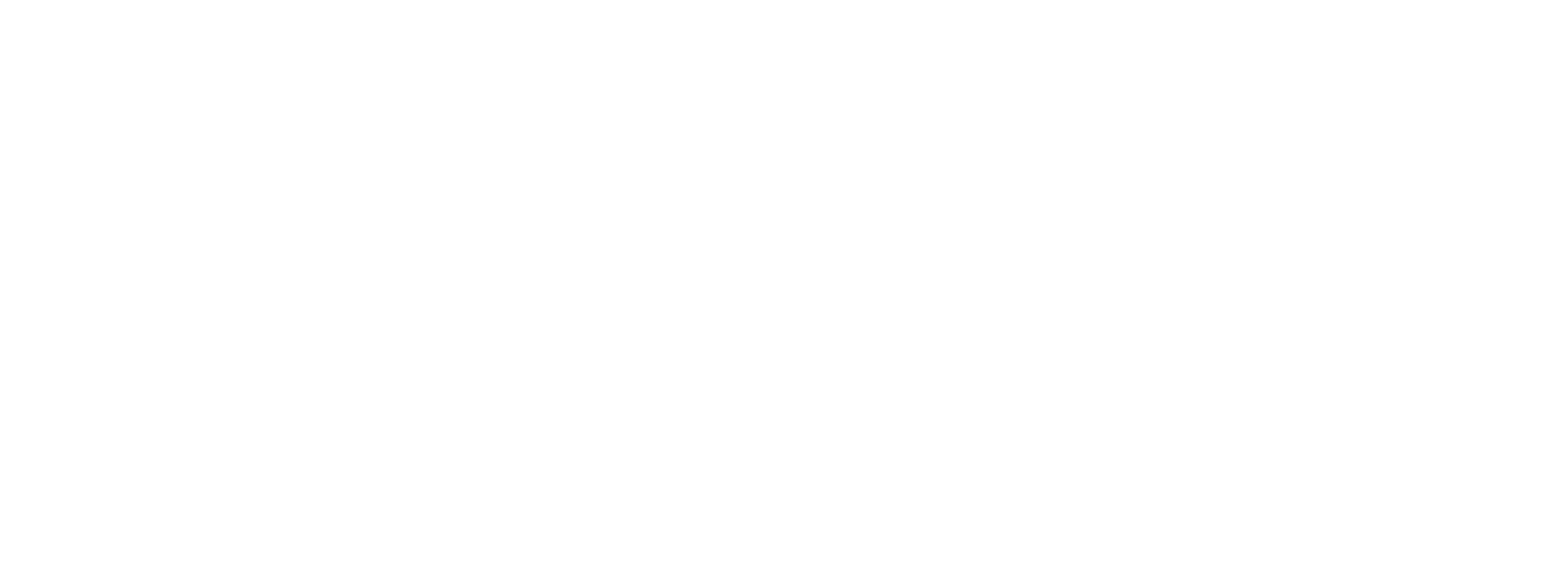 Boomerang Feedback Logo